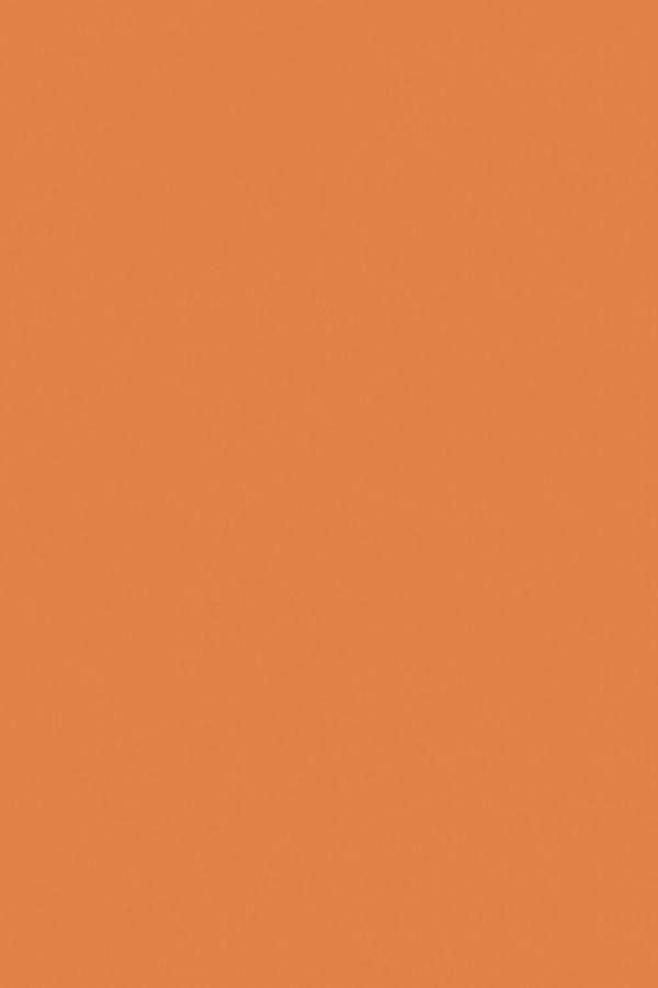 Plastica adesiva 45x200 terracotta