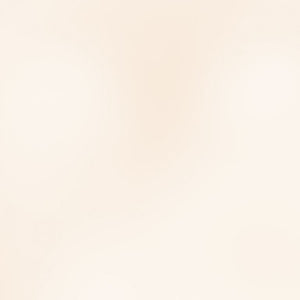 PIGMENTO METALLICO IN POLVERE 5G - PEARLY WHITE