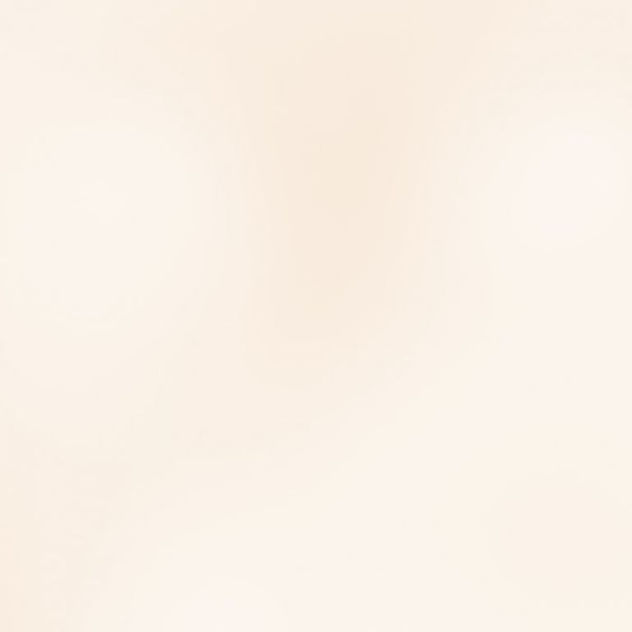 PIGMENTO METALLICO IN POLVERE 5G - PEARLY WHITE