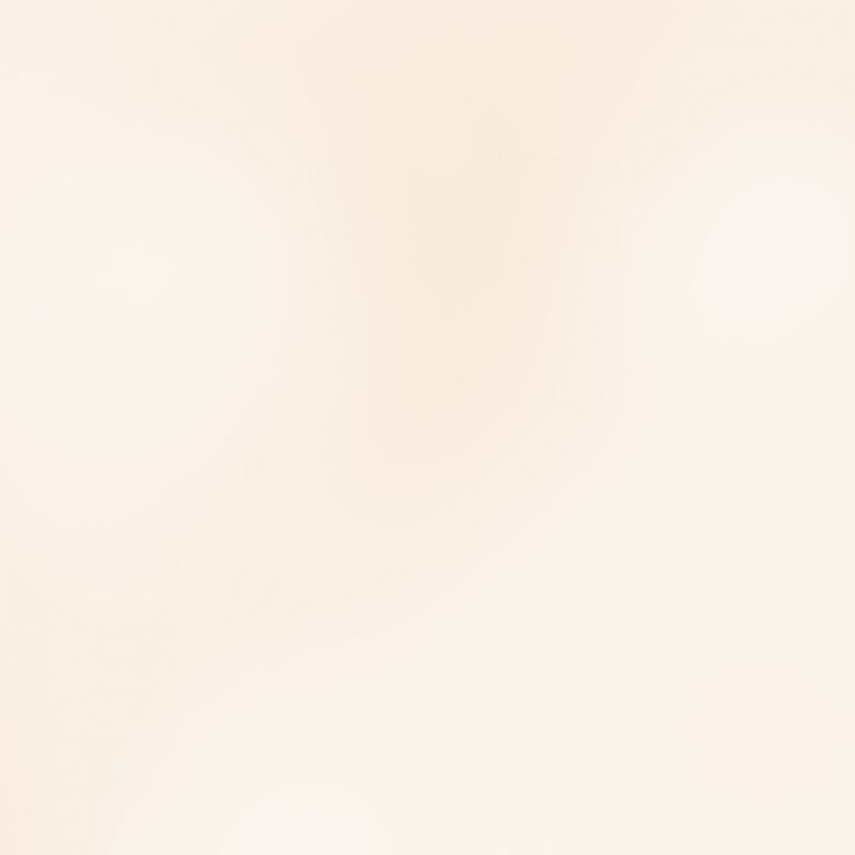 PIGMENTO METALLICO IN POLVERE 5G - PEARLY WHITE