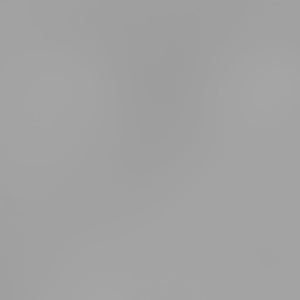 Pigmento metallico in polvere 5g - silver