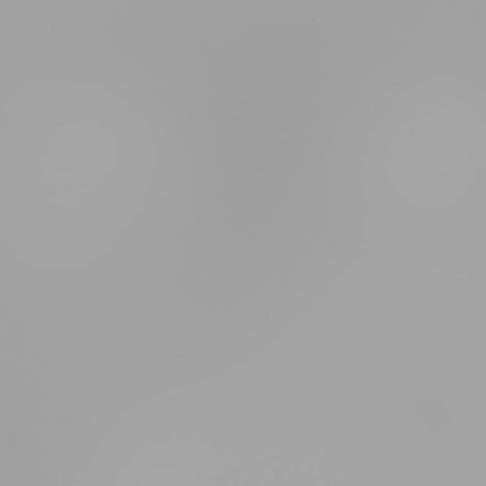 Pigmento metallico in polvere 5g - silver