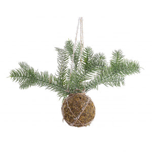 Decorazione sfera kokedama con pino inn d5