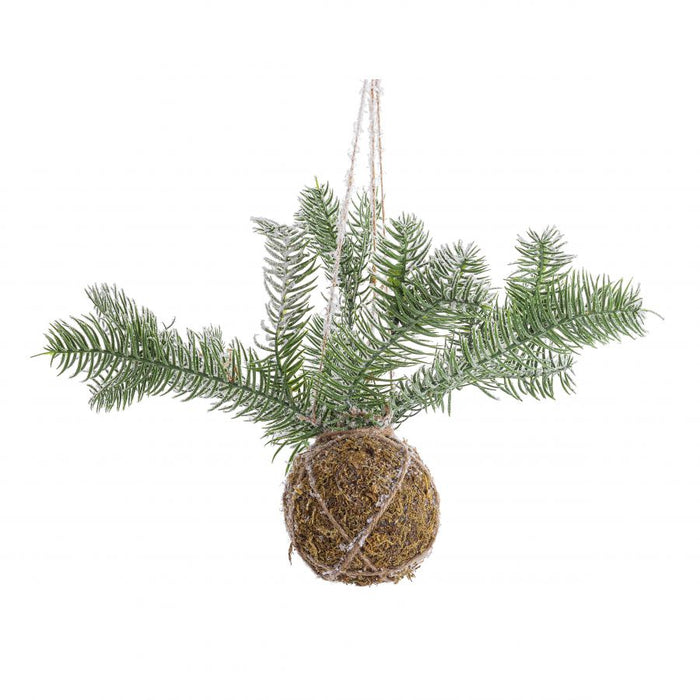 Decorazione sfera kokedama con pino inn d5