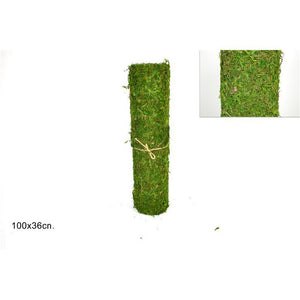 Rotolo muschio 35x100cm con adesivo