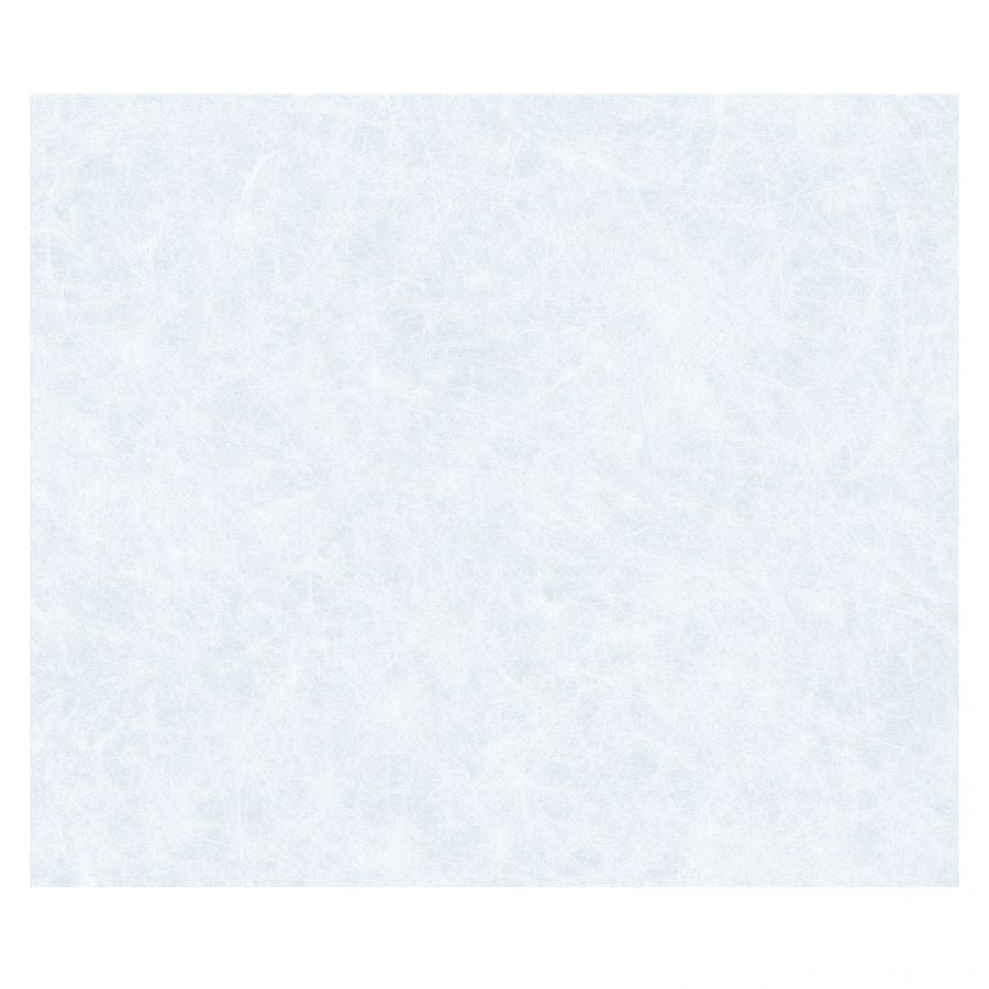 Pellicola per vetri statica premium 45x1,5 reisepap