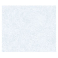 Pellicola per vetri statica premium 45x1,5 reisepap