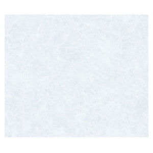 Pellicola per vetri statica premium 45x1,5 reisepap