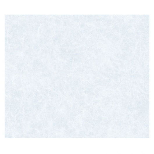 Pellicola per vetri statica premium 45x1,5 reisepap