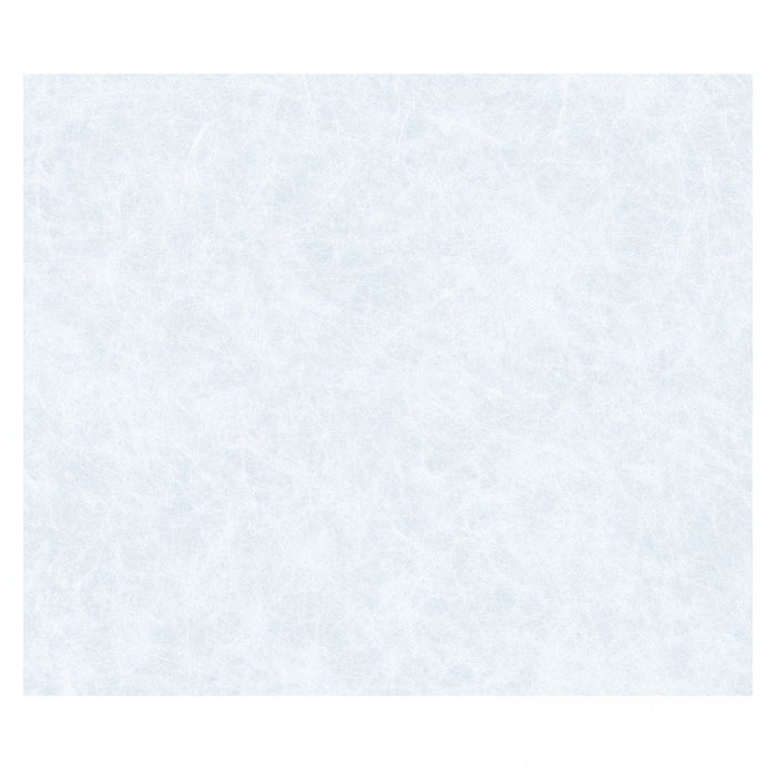 Pellicola per vetri statica premium 45x1,5 reisepap