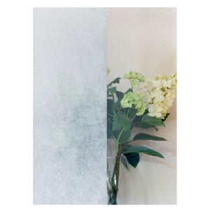 Pellicola per vetri statica premium 45x1,5 reisepap