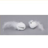 Uccello bianco con coda di piume e molletta