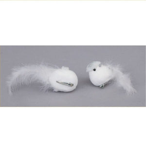 Uccello bianco con coda di piume e molletta