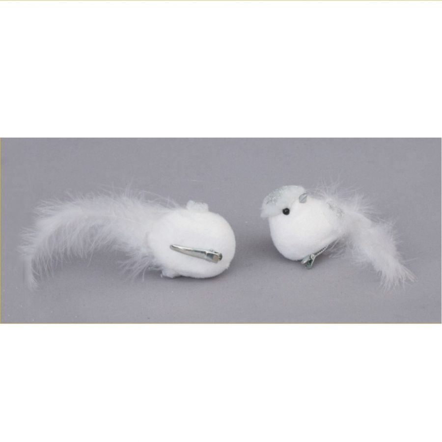 Uccello bianco con coda di piume e molletta