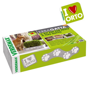 Cassettina erba gatta