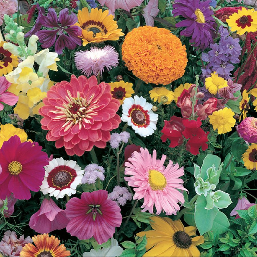 Concime liquido piante fiorite 1150 g