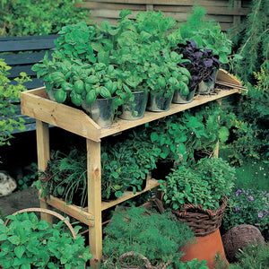 Bastoncini concimanti universale con neem