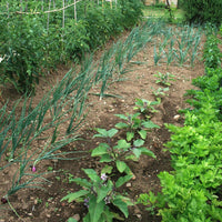 Concime in polvere biologico neem 800 g