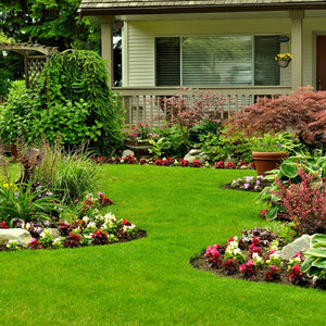 Concime granulare prato verde 2 kg