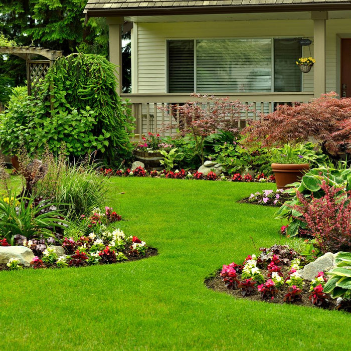 Concime granulare prato verde 2 kg