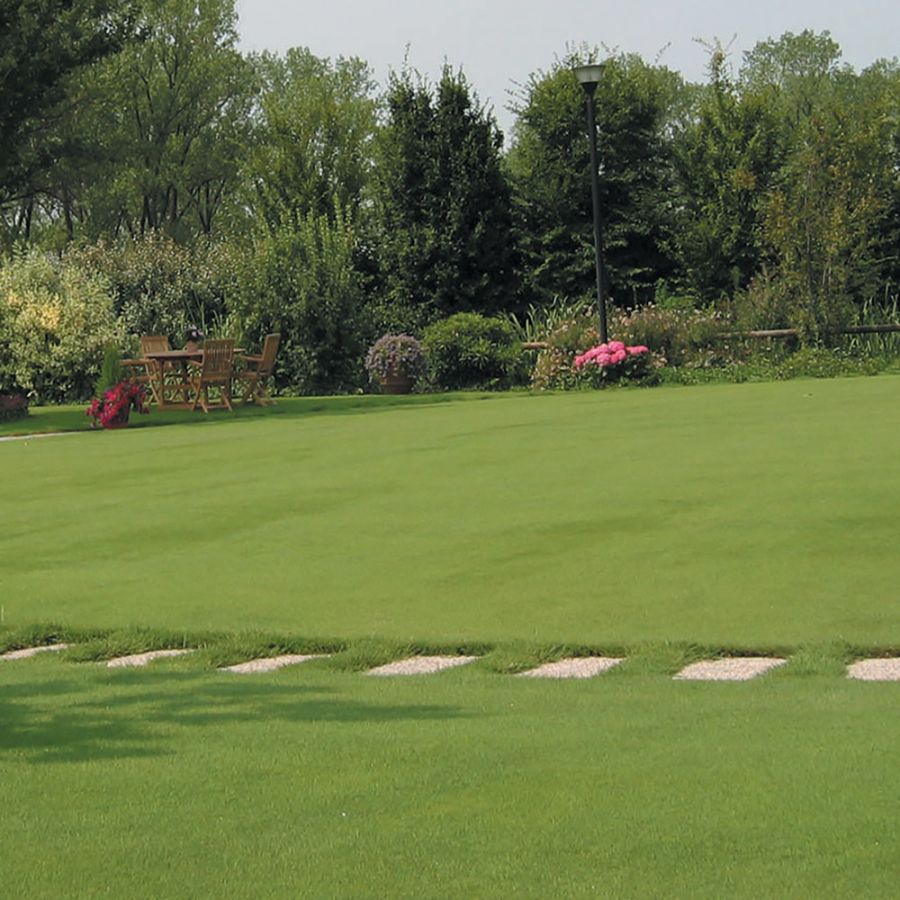 Concime granulare prato verde 2 kg