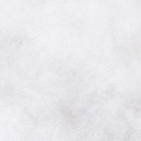 Telo tnt bianco 17 gr 2.4x 10