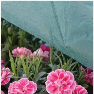 Tessuto tnt verde gr 17 16x500