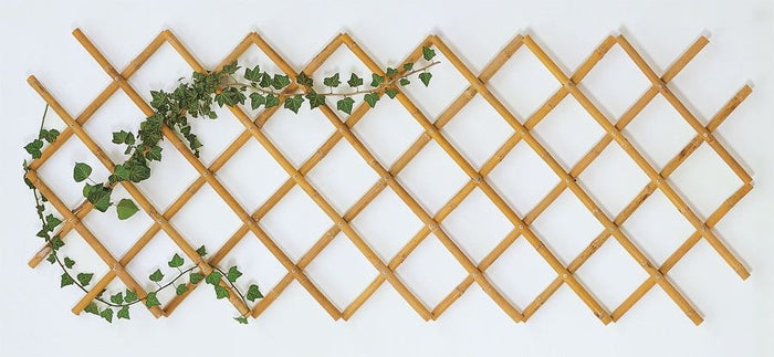 Estensibile  bamboo 90x240 mt