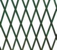 Estensibile in legno 100x200 verde