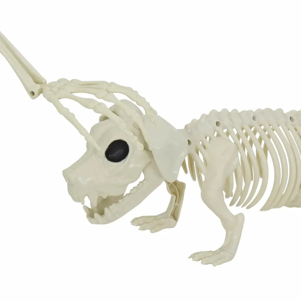 Decorazione Scheletro di Halloween 2 pcs Bianco Polipropilene