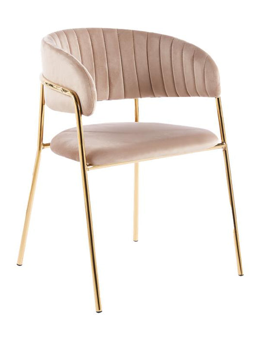 SEDIA IN VELLUTO BEIGE CON STRUTTURA E PIEDI IN METALLO COLOR ORO MISURE: 58X46X78/46 CM