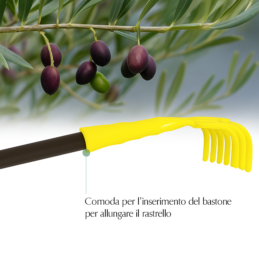Rastrello per Olive a 9 Denti larghezza 14 Cm, Raccolta Olive, Noci e Nocciole, con Foro per Manico NUMERO ARTICOLI: 10 PZ