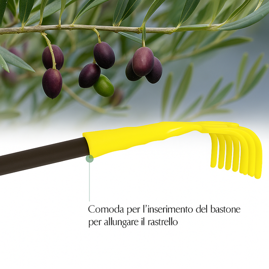 Rastrello per Olive a 9 Denti larghezza 14 Cm, Raccolta Olive, Noci e Nocciole, con Foro per Manico NUMERO ARTICOLI: 2 PZ