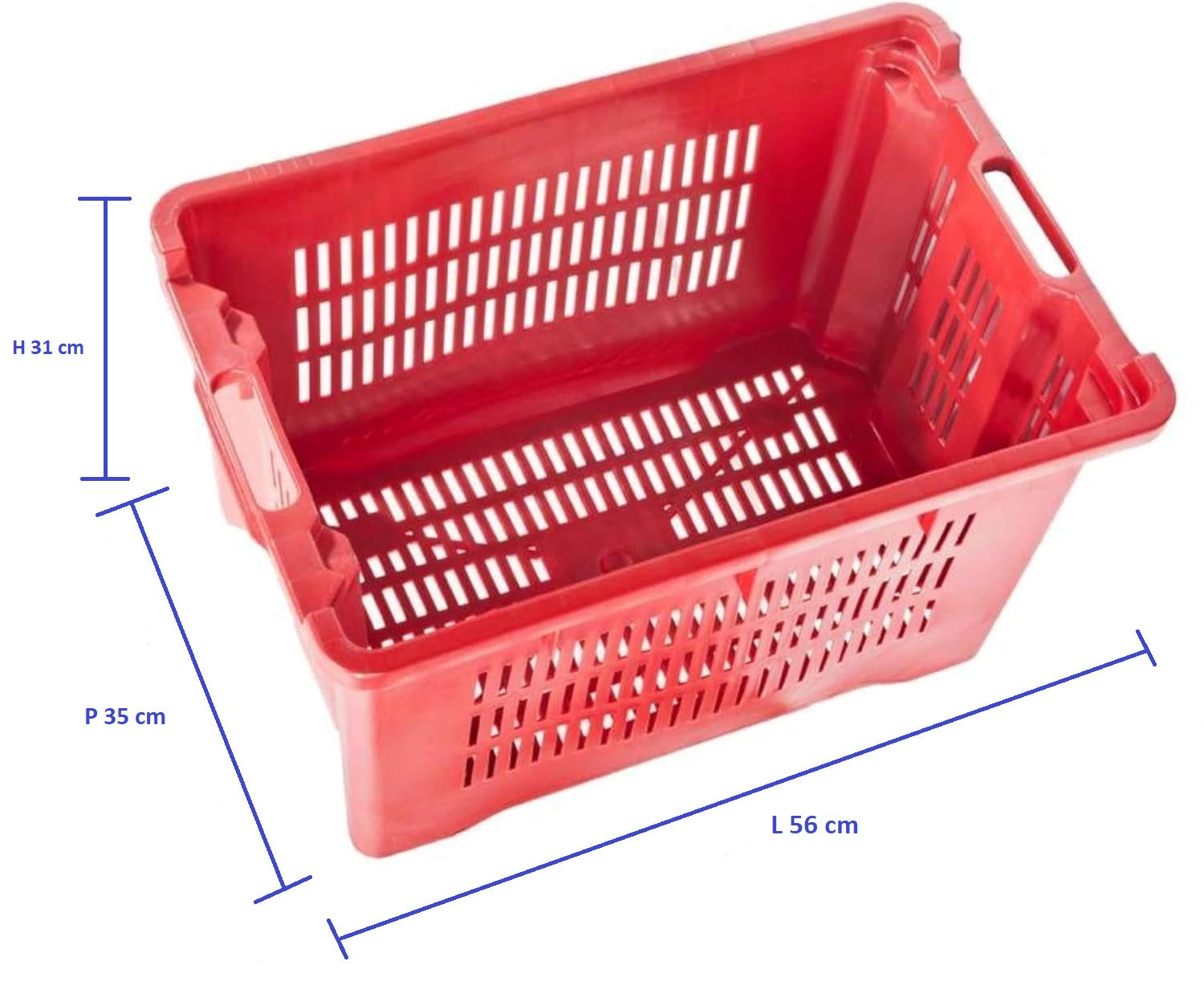 Cassetta Cesta Forata per Raccolta Olive, 56x35x31 cm max 25 kg, Agricola 40 Litri Impilabile Manici Rinforzati NUMERO ARTICOLI: 10 PZ