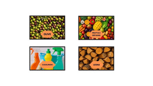 Cassetta Cesta Forata per Raccolta Olive, 56x35x31 cm max 25 kg, Agricola 40 Litri Impilabile Manici Rinforzati NUMERO ARTICOLI: 1 PZ