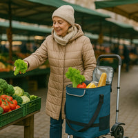 Carrello Spesa Montascale 50L Pieghevole con Borsa Termica Impermeabile 6 Ruote Blu