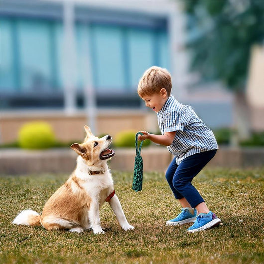 OPTIMO CUCCIA CON MORBIDO CUSCINO INTEGRATO BOMBER TINTA UNITA 60X100 CM CON CORDA INTRECCIATA 34 CM - ASSORTITO