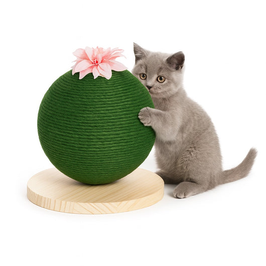 Tiragraffi Gatto Sfera Palla in Corda Canapa con Base Legno Verde con Fiore