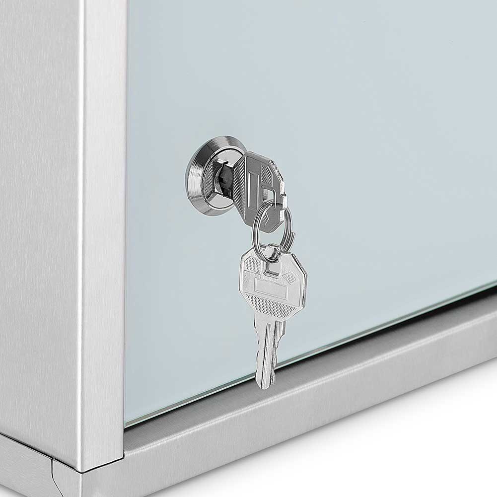 Armadietto Porta Medicinali Acciaio Inox e Vetro Satinato 50x30x18 cm con Chiave