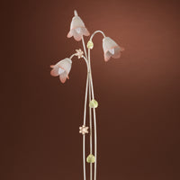 Piantana Botton d'oro