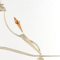 Biliardo Lucrezia Avorio