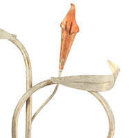 Applique 2 luci Lucrezia Avorio