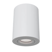Plafoniera Ceiling & Wall in Alluminio Alfa Bianco
