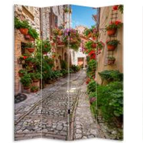 Paravento Separe 4 Pannelli Con Stampa Fronte Retro Pesaggio Divisorio 180x160