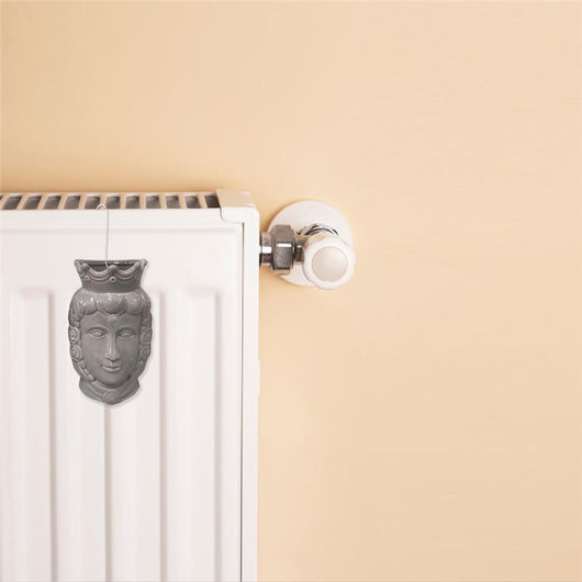 MAURY'S EVAPORATORE PER TERMOSIFONE A FORMA DI TESTA DI MORO 10X4 CM ASSORTITI