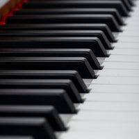 Tastiera Musicale Pianoforte Elettrico con 88 Tasti 3 Pedale e 80 Demo Marrone