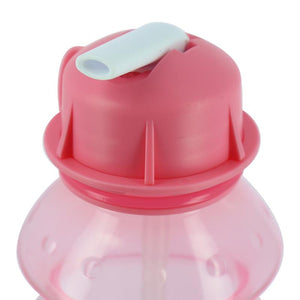 BORRACCIA ROSA CON CANNUCCIA UNICORNO D7X18H CM