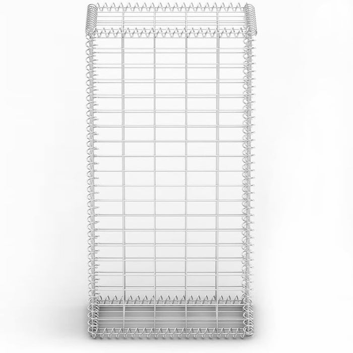 Gabbione in Rete di Acciaio Galvanizzato 100x50x30cm Recinzione Orto da Giardino