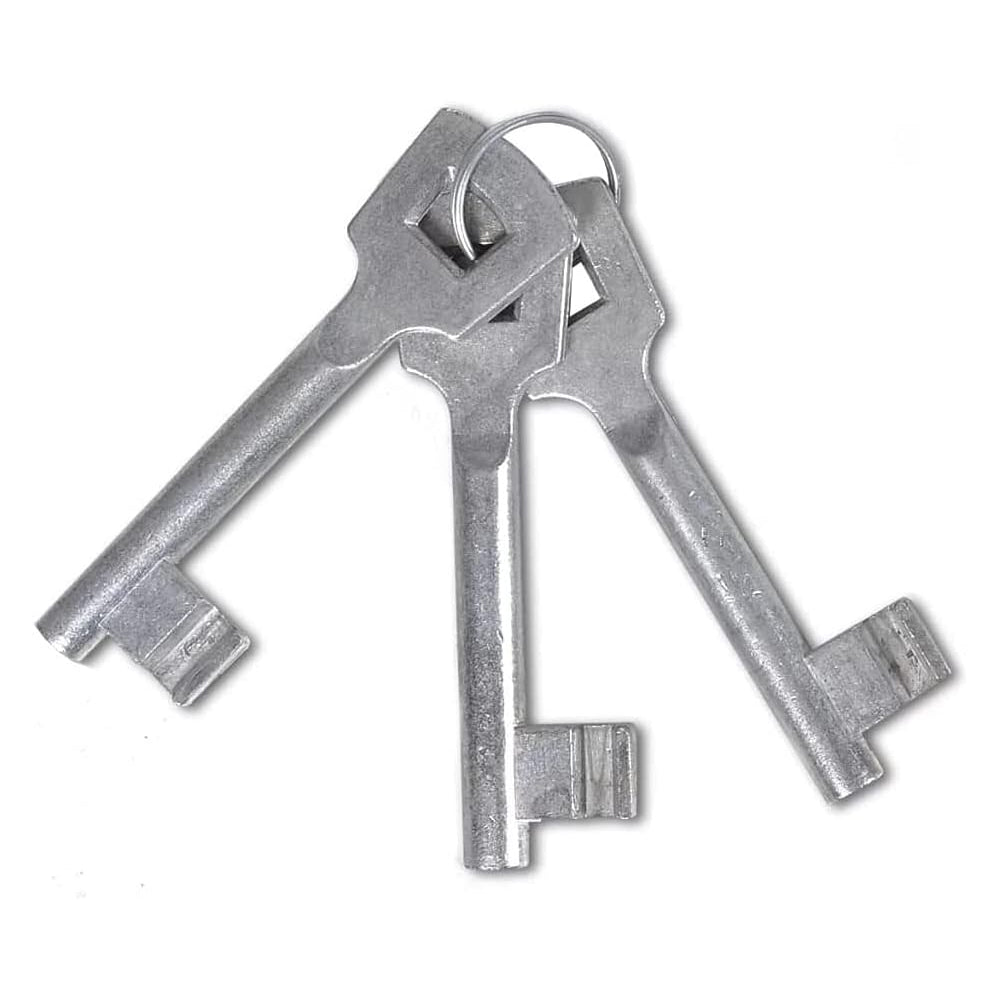 Cancello Pedonale Cancelletto Recinzione Giardino Acciaio 100x150cm con Chiave