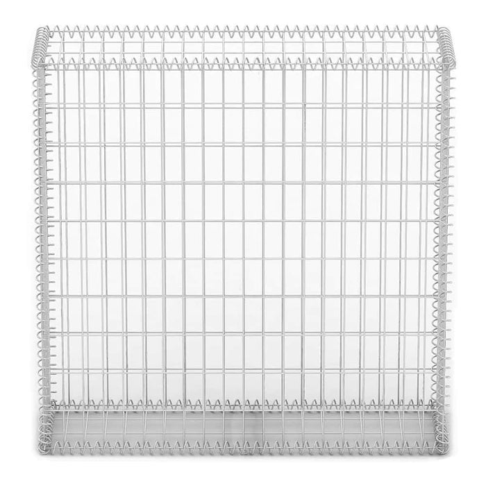 Rete Gabbione Giardino in Acciaio Galvanizzato 100x100x30 cm per Recinzioni e Muretti